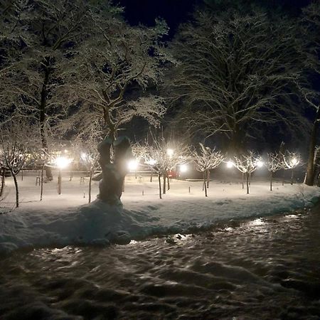 Dipla Sto Potami Hotel Chani Terevou Eksteriør billede